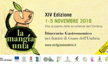 Di ritorno da Frantoi aperti