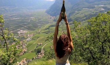La Strada del Vino dell' Alto Adige